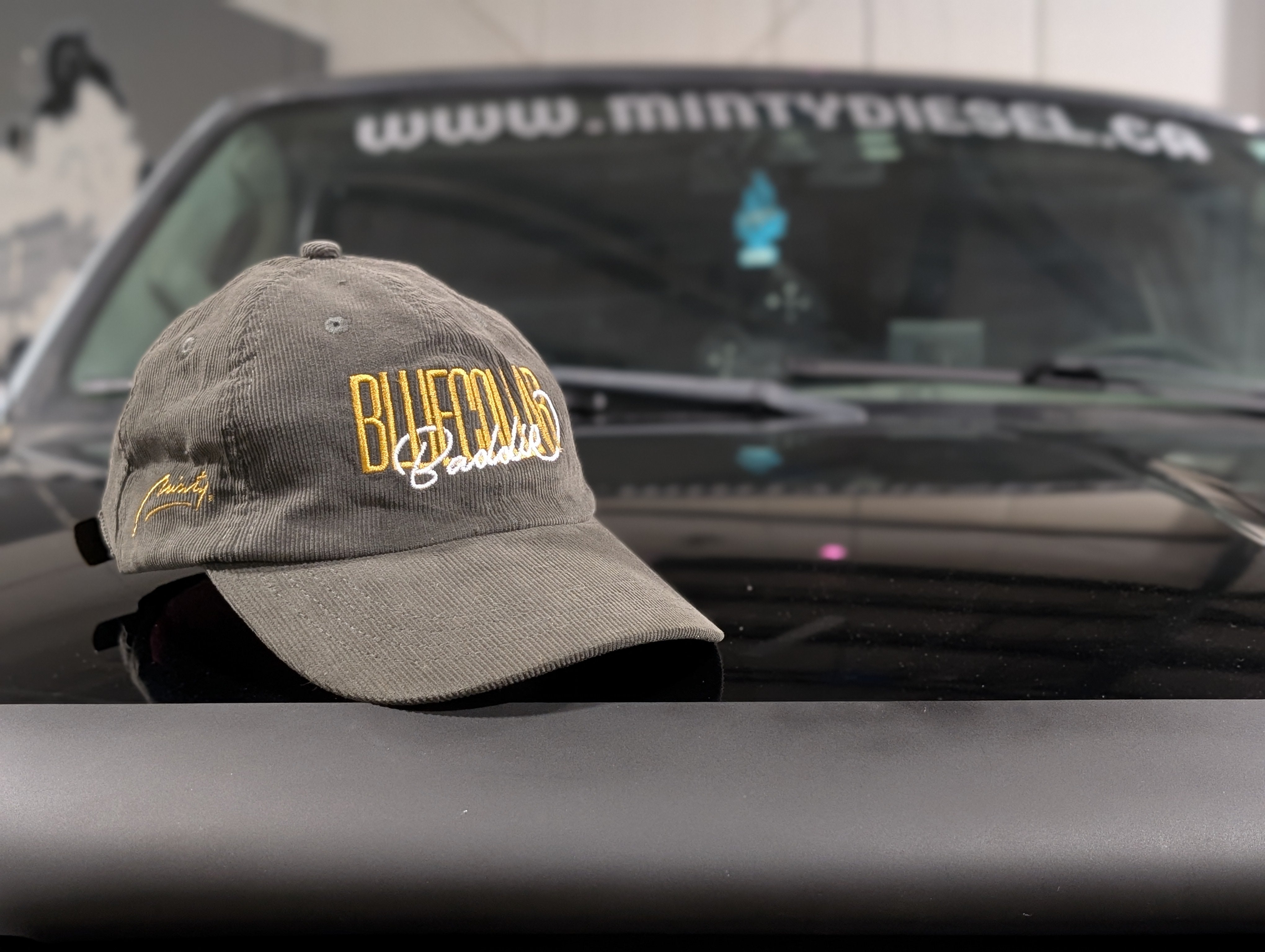 BLUECOLLAR BADDIE [CORDUROY CAP]